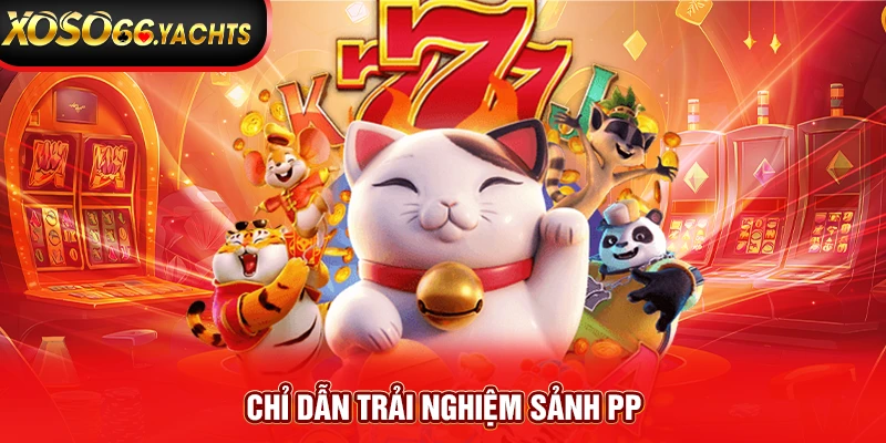 Chỉ dẫn trải nghiệm sảnh PP Chỉ dẫn trải nghiệm sảnh PP